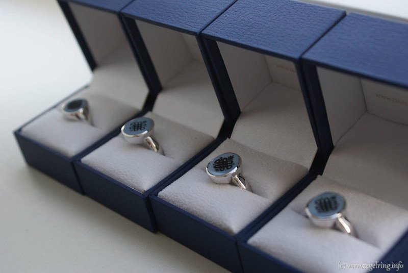 Ringen familiesymbool witgouden ring blauwlagensteen