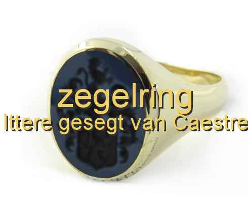 zegelring Ittere gesegt van Caestre